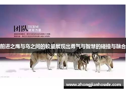 前进之鹰与乌之间的较量展现出勇气与智慧的碰撞与融合